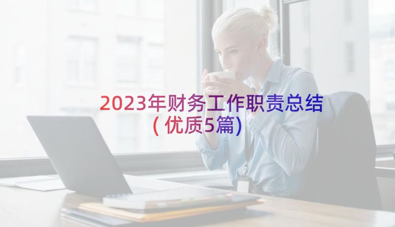 2023年财务工作职责总结(优质5篇)