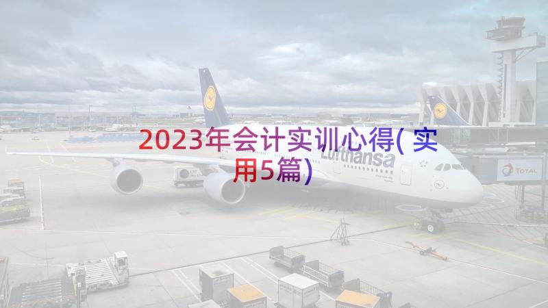 2023年会计实训心得(实用5篇)