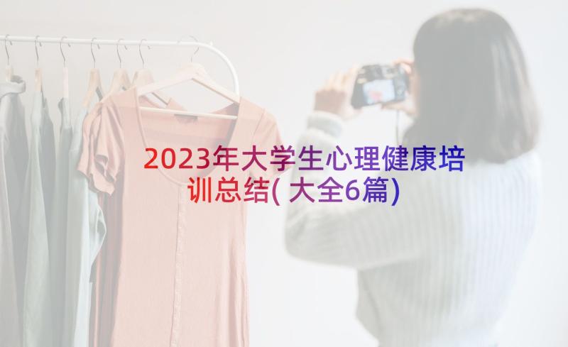 2023年大学生心理健康培训总结(大全6篇)