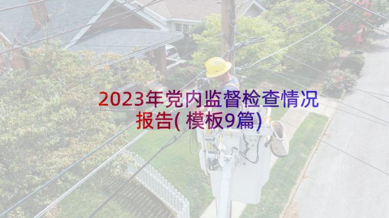 2023年党内监督检查情况报告(模板9篇)