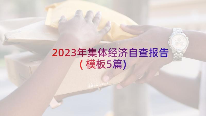 2023年集体经济自查报告(模板5篇)