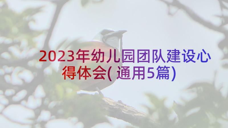 2023年幼儿园团队建设心得体会(通用5篇)