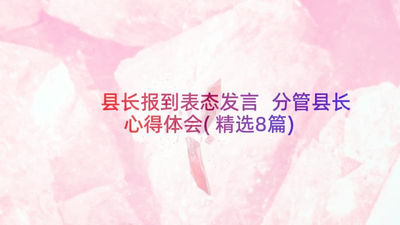 县长报到表态发言 分管县长心得体会(精选8篇)