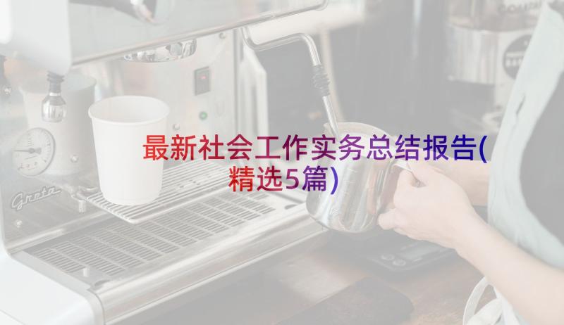 最新社会工作实务总结报告(精选5篇)