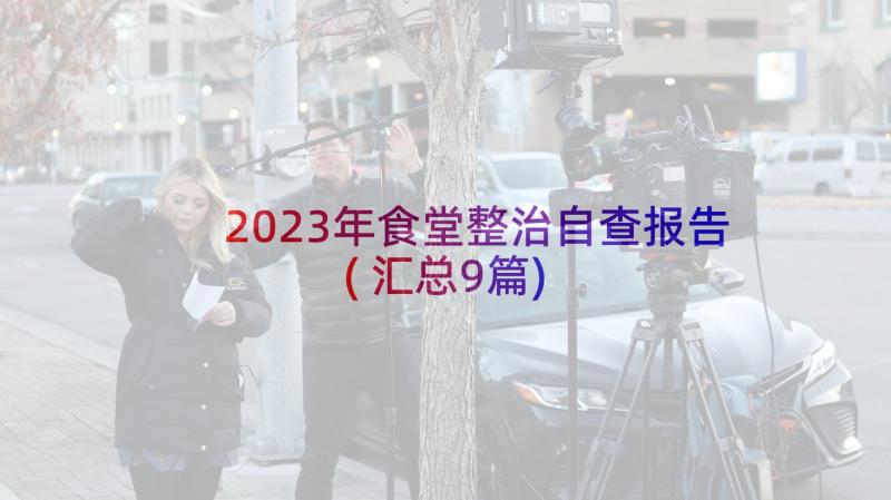 2023年食堂整治自查报告(汇总9篇)