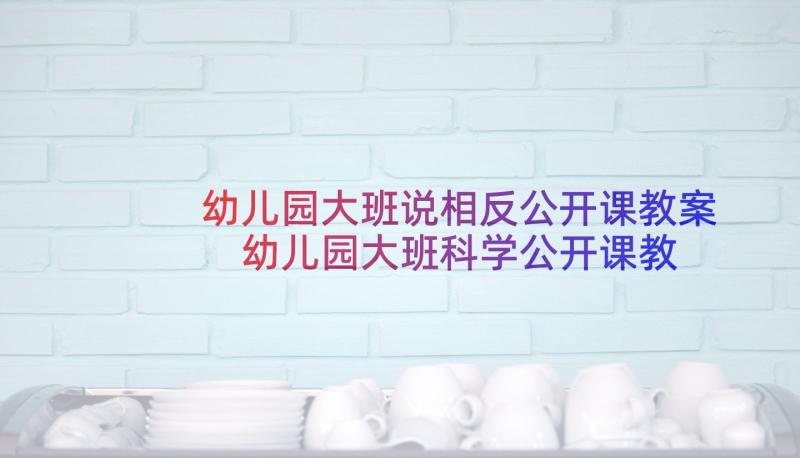 幼儿园大班说相反公开课教案 幼儿园大班科学公开课教案(通用10篇)