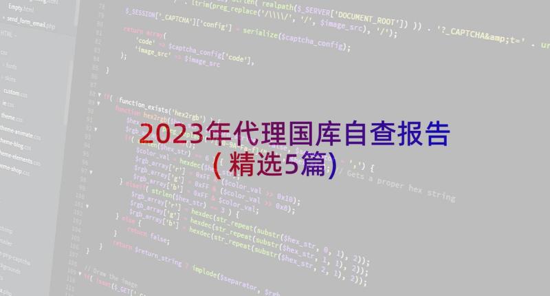 2023年代理国库自查报告(精选5篇)