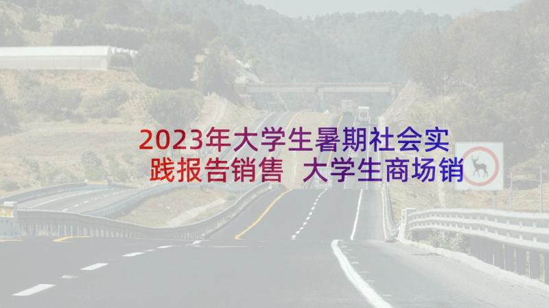 2023年大学生暑期社会实践报告销售 大学生商场销售社会实践报告(优秀8篇)