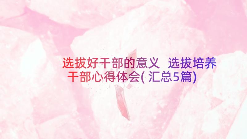 选拔好干部的意义 选拔培养干部心得体会(汇总5篇)