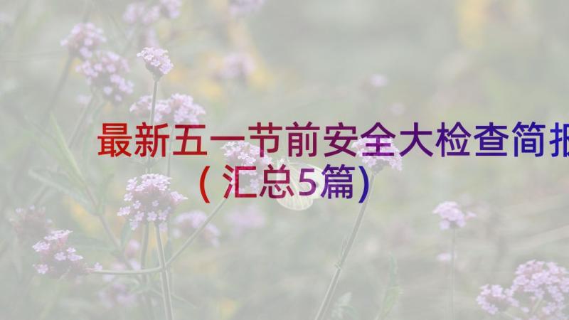 最新五一节前安全大检查简报(汇总5篇)