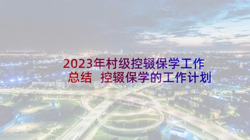 2023年村级控辍保学工作总结 控辍保学的工作计划(大全9篇)