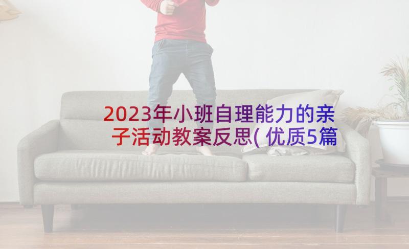 2023年小班自理能力的亲子活动教案反思(优质5篇)