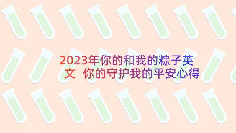 2023年你的和我的粽子英文 你的守护我的平安心得体会(通用6篇)