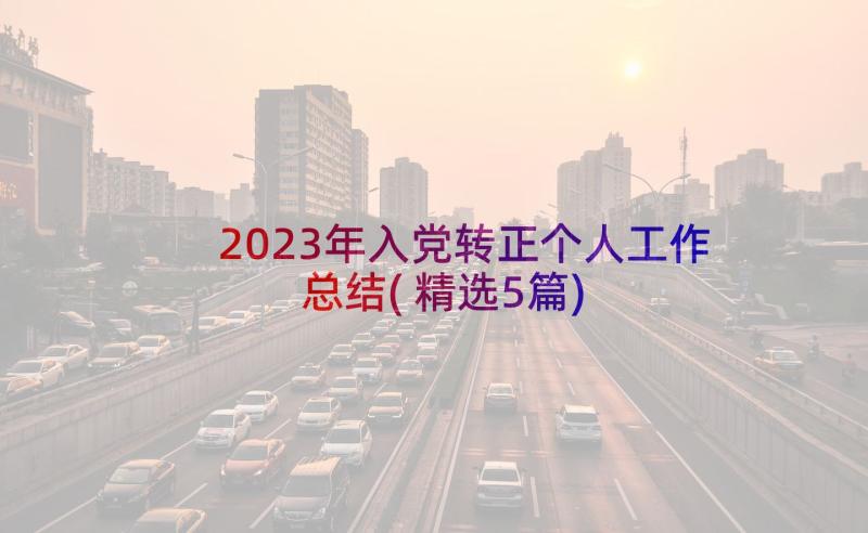 2023年入党转正个人工作总结(精选5篇)