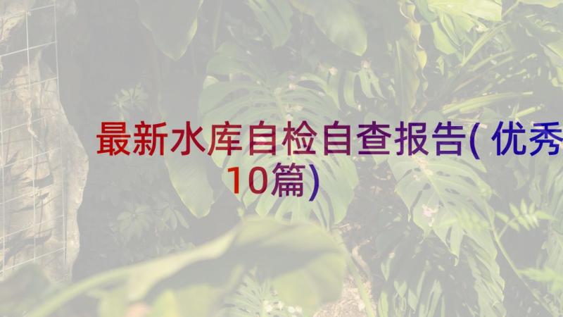 最新水库自检自查报告(优秀10篇)