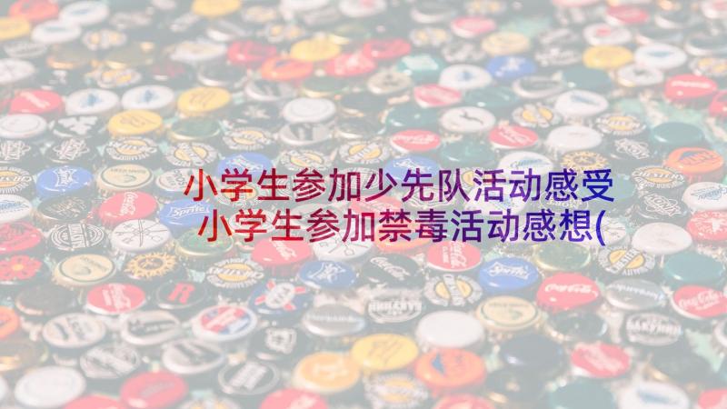 小学生参加少先队活动感受 小学生参加禁毒活动感想(大全5篇)