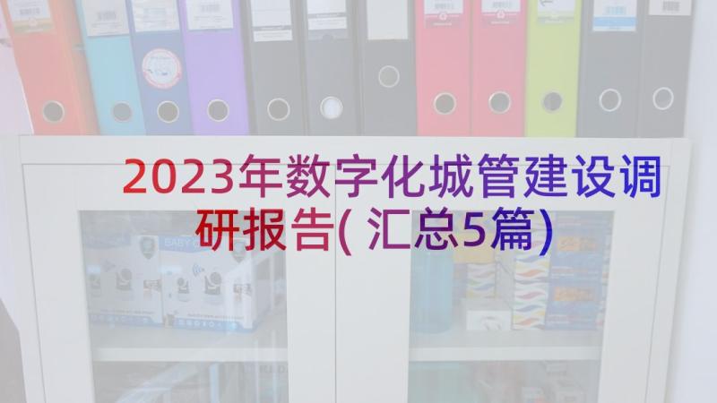 2023年数字化城管建设调研报告(汇总5篇)