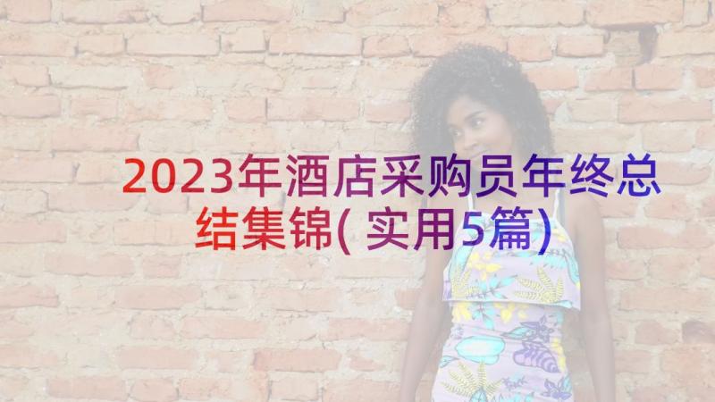 2023年酒店采购员年终总结集锦(实用5篇)