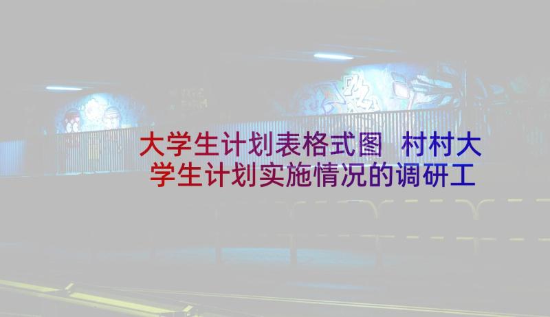 大学生计划表格式图 村村大学生计划实施情况的调研工作报告(模板5篇)