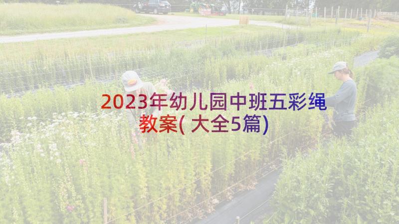 2023年幼儿园中班五彩绳教案(大全5篇)