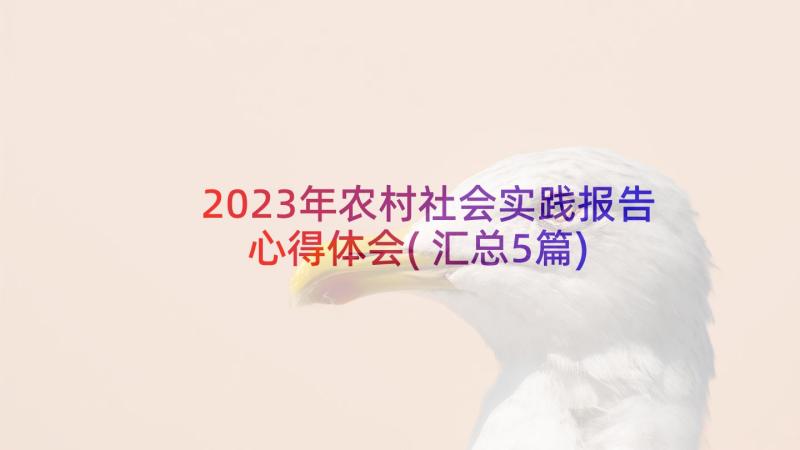 2023年农村社会实践报告心得体会(汇总5篇)