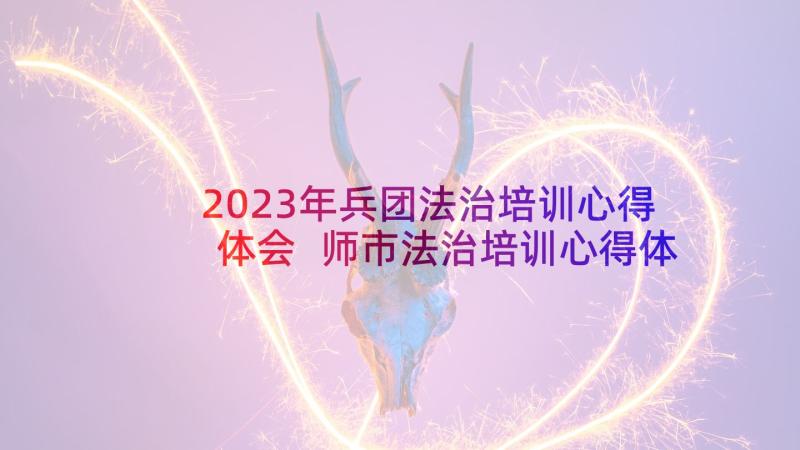 2023年兵团法治培训心得体会 师市法治培训心得体会(大全10篇)