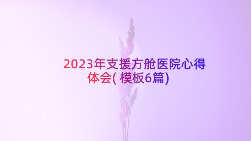 2023年支援方舱医院心得体会(模板6篇)