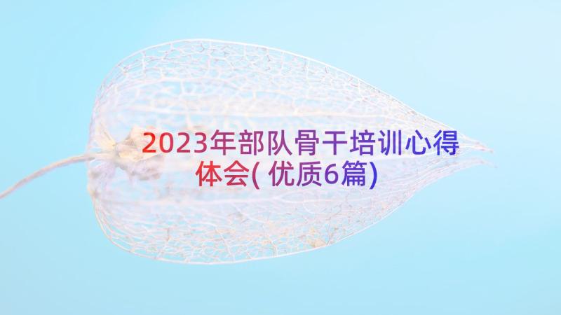 2023年部队骨干培训心得体会(优质6篇)