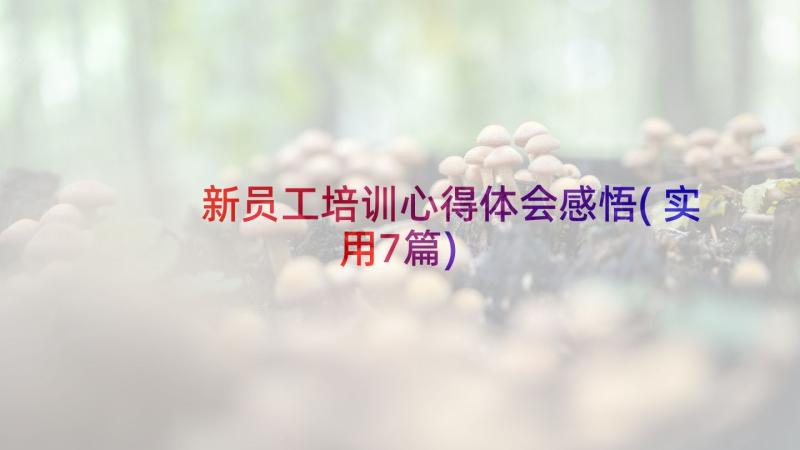 新员工培训心得体会感悟(实用7篇)