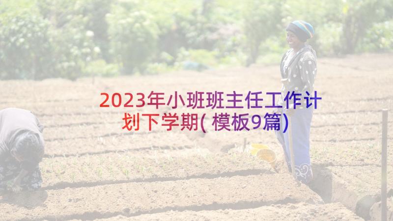 2023年小班班主任工作计划下学期(模板9篇)