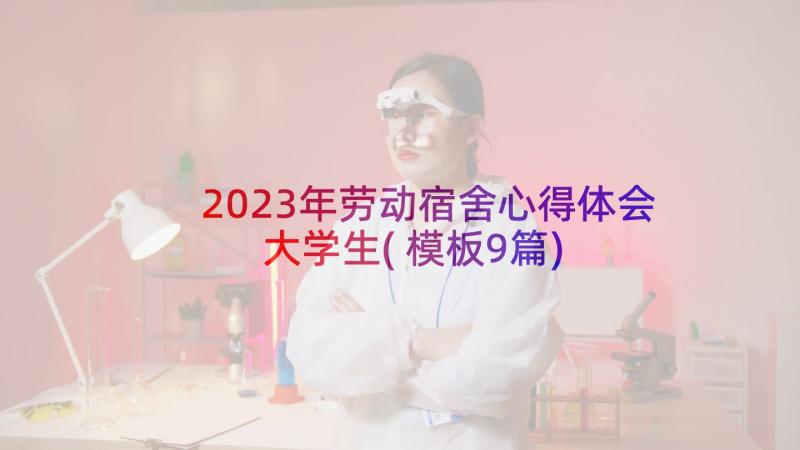 2023年劳动宿舍心得体会大学生(模板9篇)