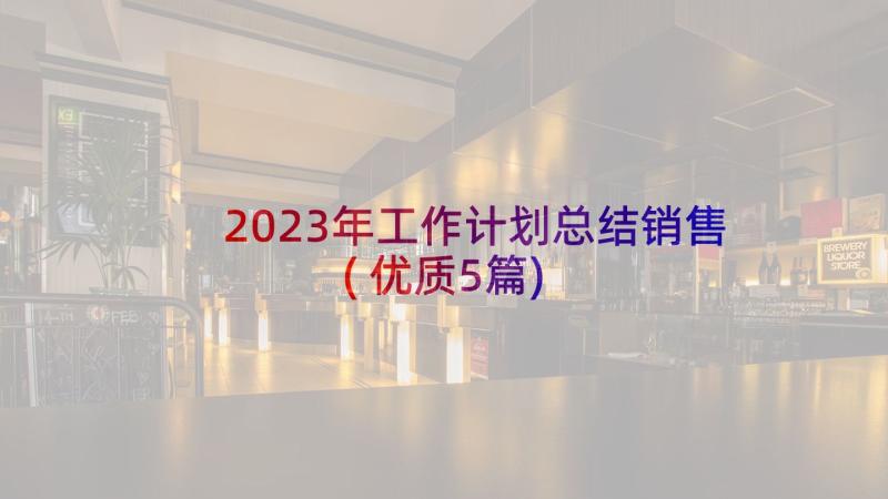 2023年工作计划总结销售(优质5篇)