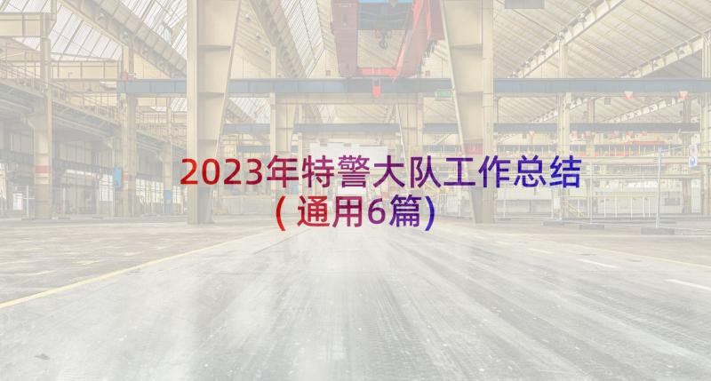 2023年特警大队工作总结(通用6篇)