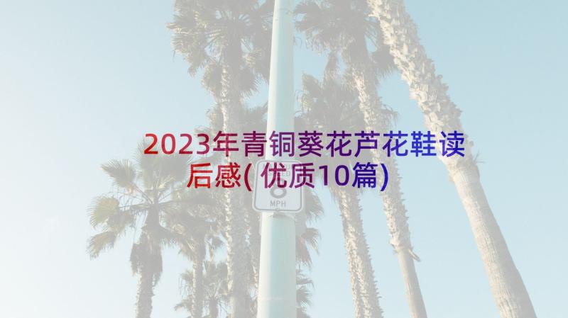 2023年青铜葵花芦花鞋读后感(优质10篇)