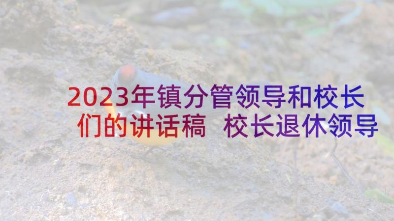 2023年镇分管领导和校长们的讲话稿 校长退休领导讲话心得体会(模板7篇)