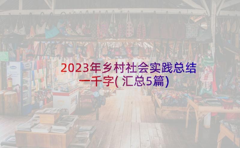 2023年乡村社会实践总结一千字(汇总5篇)