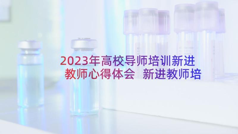 2023年高校导师培训新进教师心得体会 新进教师培训总结(汇总6篇)