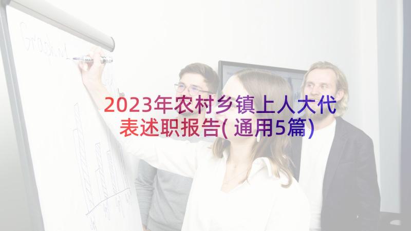 2023年农村乡镇上人大代表述职报告(通用5篇)