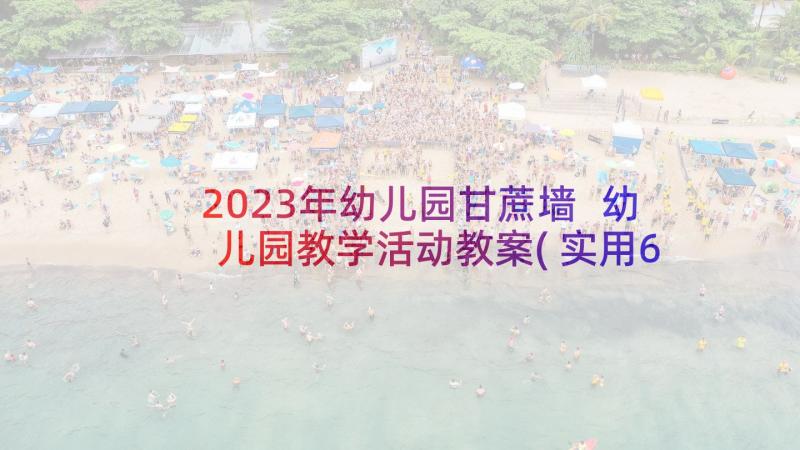 2023年幼儿园甘蔗墙 幼儿园教学活动教案(实用6篇)