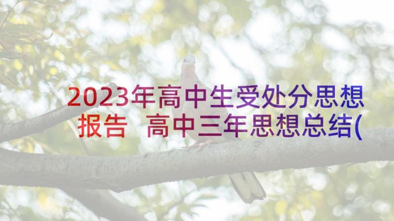 2023年高中生受处分思想报告 高中三年思想总结(实用5篇)