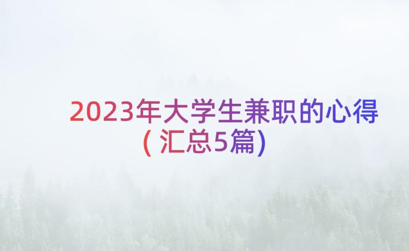 2023年大学生兼职的心得(汇总5篇)