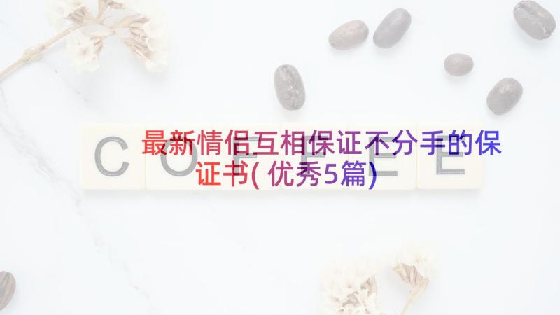 最新情侣互相保证不分手的保证书(优秀5篇)