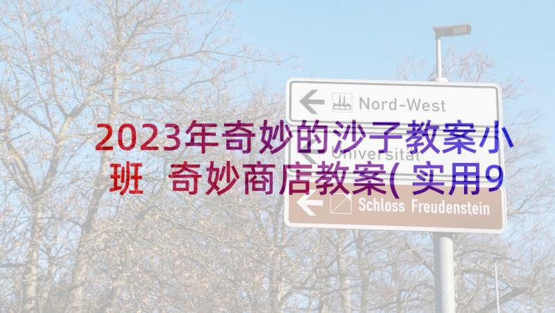 2023年奇妙的沙子教案小班 奇妙商店教案(实用9篇)