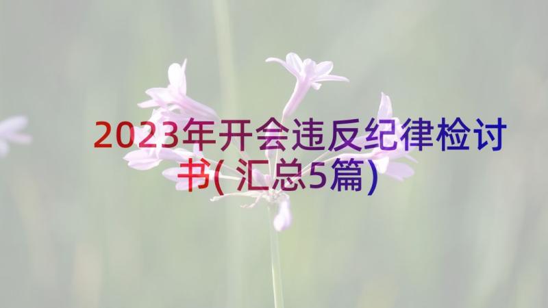 2023年开会违反纪律检讨书(汇总5篇)