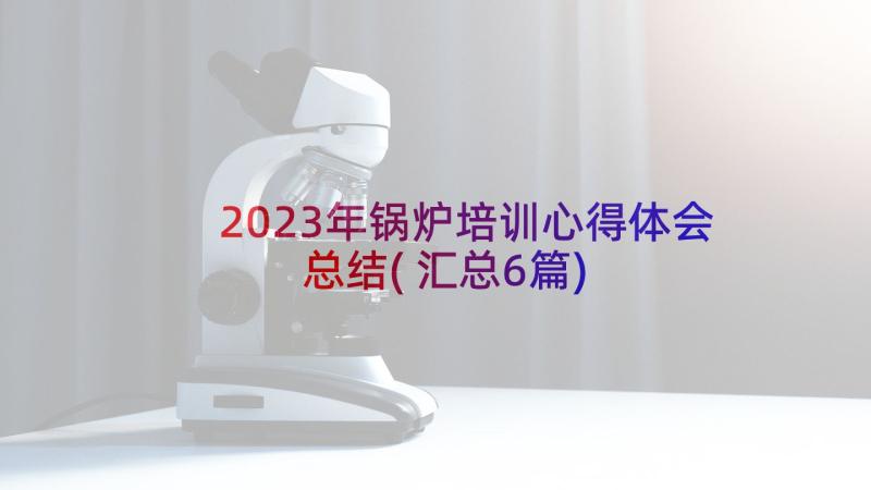 2023年锅炉培训心得体会总结(汇总6篇)