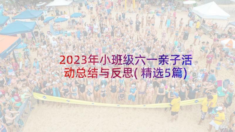 2023年小班级六一亲子活动总结与反思(精选5篇)