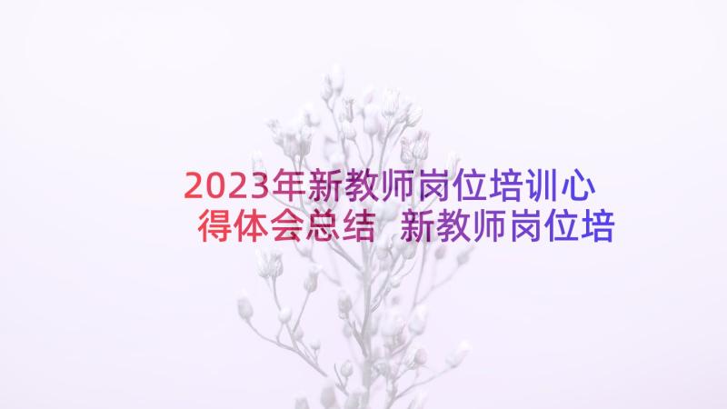 2023年新教师岗位培训心得体会总结 新教师岗位培训心得体会(优秀5篇)