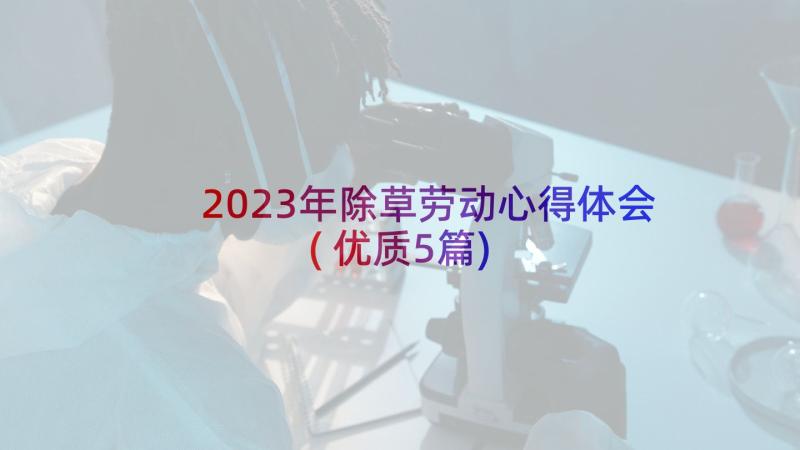 2023年除草劳动心得体会(优质5篇)