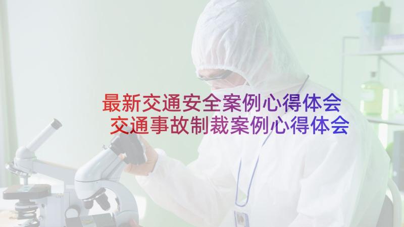 最新交通安全案例心得体会 交通事故制裁案例心得体会(通用9篇)