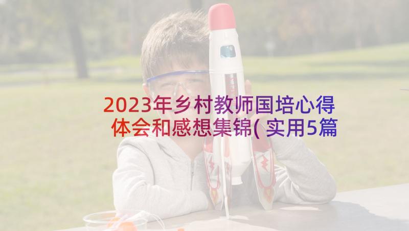 2023年乡村教师国培心得体会和感想集锦(实用5篇)